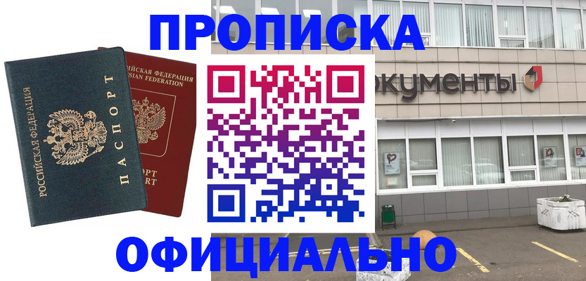 прописка поиск в Курской области